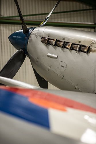 Le nez d'un Spitfire