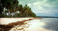 Paradijs eiland von Tonny Visser-Vink Miniaturansicht