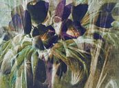 Schwarze Tulpen - abstrakte Malerei von Christine Nöhmeier Miniaturansicht