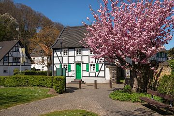 Odenthal, Bergisches Land, Duitsland van Alexander Ludwig