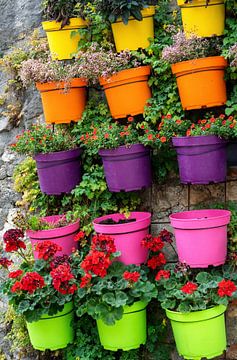Un jardin vertical avec des pots de fleurs colorés