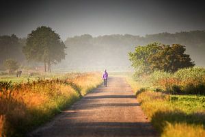 Randonneur dans un paysage au lever du soleil