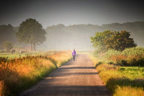 Hiker in landscape during sunrise by Henk van den Brink