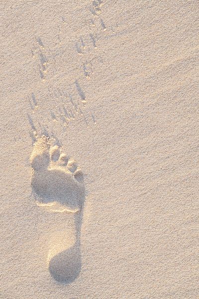 Voetafdruk in het Zand van Stephan Van Reisen