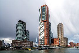Rotterdam View (Kop van Zuid) by Wil Crooymans