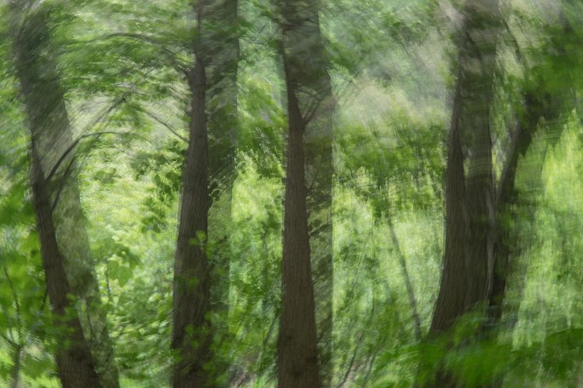 Spring green by Judith Schrijver