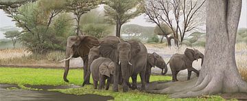 Elephants in the shade by Russell Hinckley