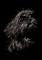 Scribble Art