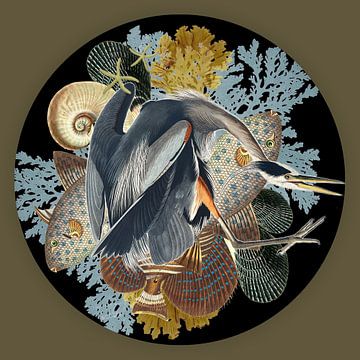 Cirkel met Vierkante kader - Blue Heron van Behindthegray
