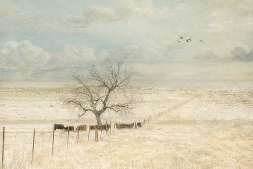 Waar het Land Stilvalt