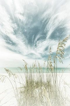 Hemelse stilte op het strand | Vintage