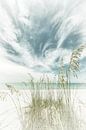 Heavenly calmness on the beach | Vintage by Melanie Viola thumbnail