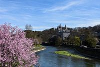 Springtime down by the river Ourthe