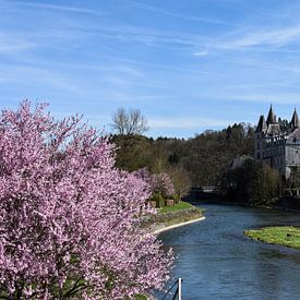 Springtime down by the river Ourthe by Jacco en Céline