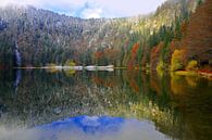 Field lake Black Forest by Patrick Lohmüller thumbnail