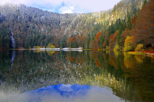 Feldsee Forêt Noire