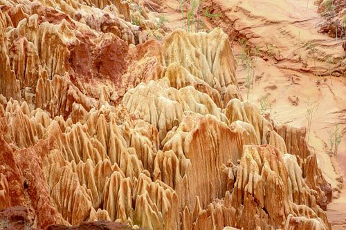 Sandstone formations in the Tsingy Rouge Park on Madagascar