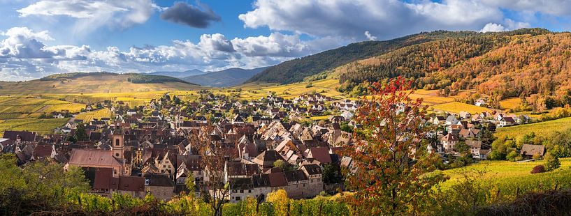 Panorama of Riquewihr by Jeroen Mikkers