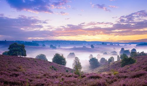 Magic Sunset at the Posbank by Martin Bredewold