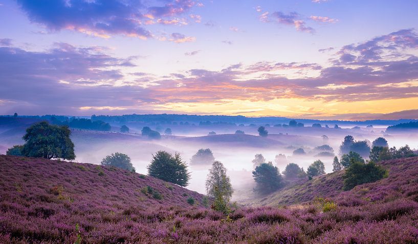 Magische Zonsopkomst op de Posbank van Martin Bredewold