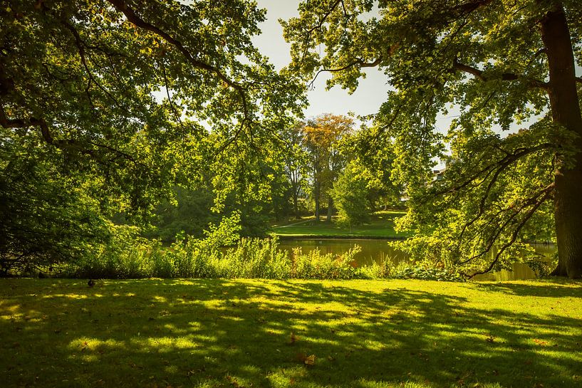 Ontspanning in het park van Thomas Riess