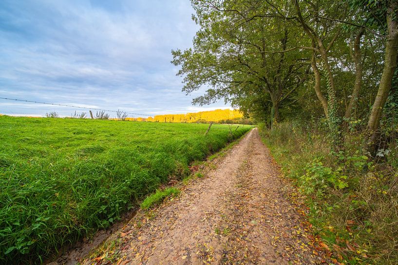 Landschap naast het bos met een aarde weg. van Marcel Derweduwen