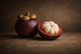 Mangosteen in a Classical Still Life by Bert Quaedvlieg
