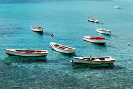 Pêche à Curaçao : Boka Sami sur Bfec.nl