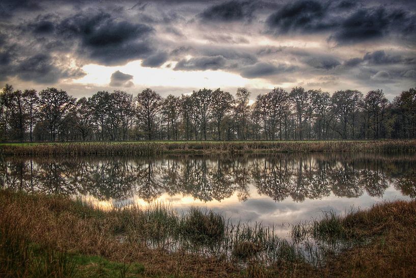 c by Cor Woudstra