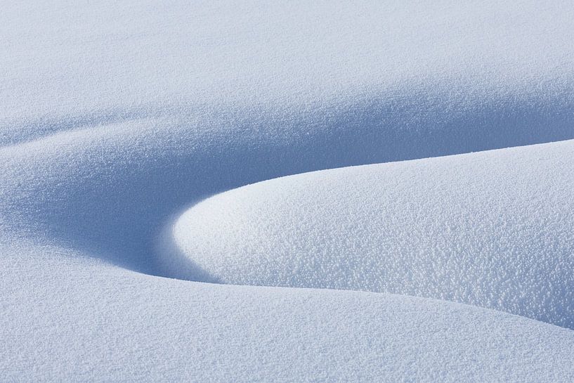 Play of curves by Andius Teijgeler