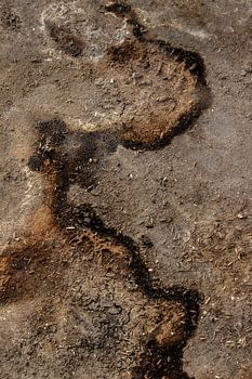 lijnenspel abstracte fotokunst