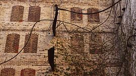 Ruin of the storehouse of the mill complex Böllberg in Halle in Germany