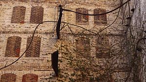 Ruine des Speichers des Mühlenkomplexes Böllberg in Halle in Deutschland