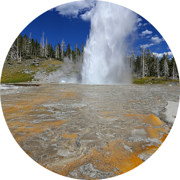 Grand Geyser in Yellowstone van Antwan Janssen