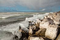 Kruiend ijs op het Markermeer van Bernadet Gribnau thumbnail