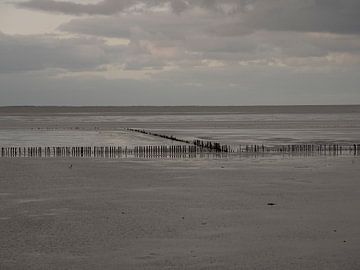 Waddenzee met paaltjes bij laag water van Robin Jongerden