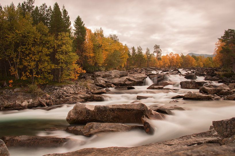 Norway by Petra Bos