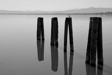 Trasimeense meer in Italië