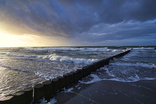 Kribben die in de Oostzee in Zingst reiken.