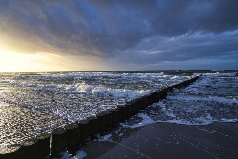 Kribben die in de Oostzee in Zingst reiken. van Martin Köbsch