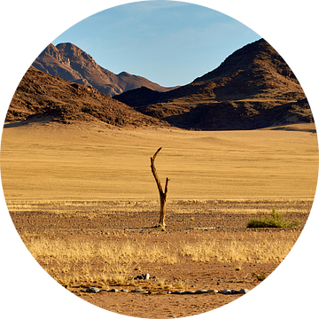 Dode boom in Namib-Naukluft Nationaal Park, Namibië van Thomas Marx