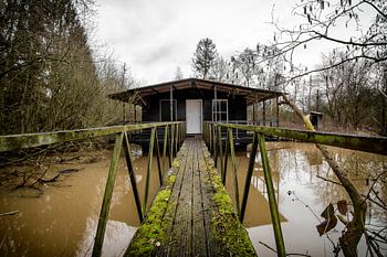 Verlassene Hütte im Wald