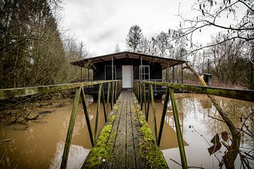 verlaten hut in het bos van Vivian Teuns