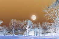 Bomen landschap met volle maan van Corinne Welp thumbnail