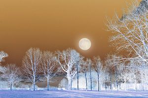 Paysage fantastique avec la pleine lune