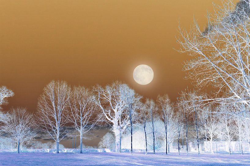 Bomen landschap met volle maan van Corinne Welp