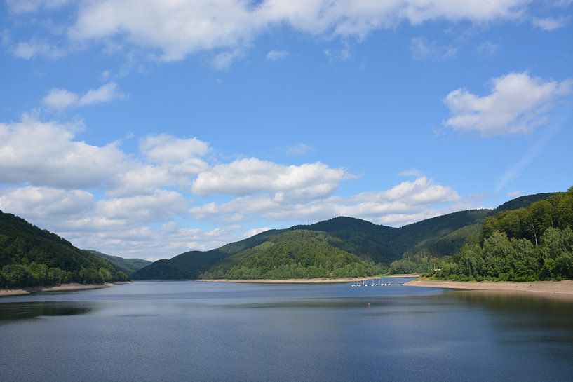 observance by Henriette Tischler van Sleen