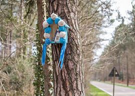 Herselt sur Pieter van der Zweep