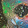 Metal Soap Bubbles by Ellen Pruiksma