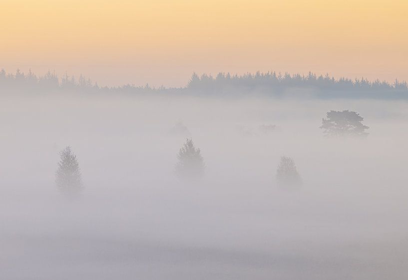 Lever de soleil brumeux Duurswouderheide (Pays-Bas) par Marcel Kerdijk